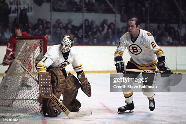 Gerry Cheever and Dallas Smith of the Boston Bruins defend goal .