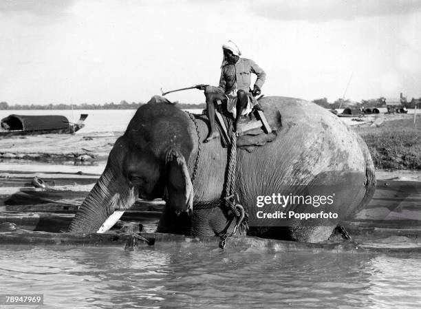 Ponting in Asia 1900 - 1906, Burma, Elephants at work teak logging with their trunks in Burma