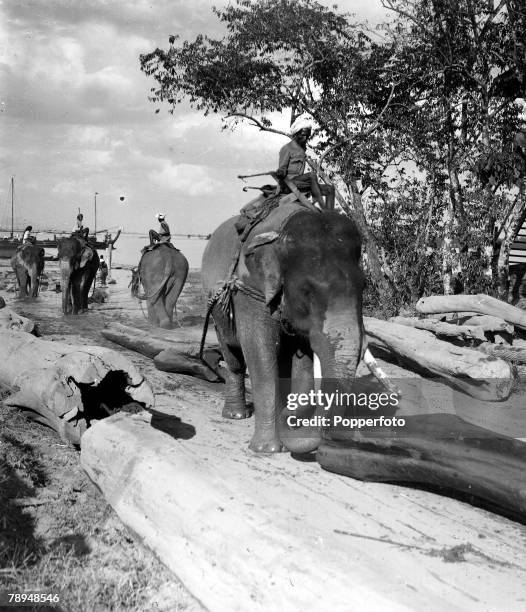 Ponting in Asia 1900 - 1906, Burma, Elephants at work teak logging in Burma