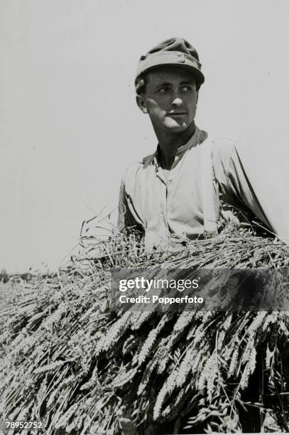 Stook Definition Stooks Photos and Premium High Res Pictures - Getty Images