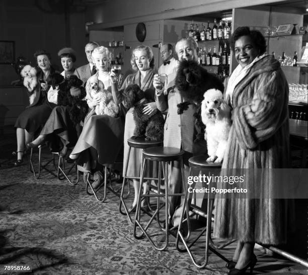 London, England Celebrities Pets, Poodle Party at the Pigalle, A variety of actors, actresses, entertainers and singers pose with their pet poodles...