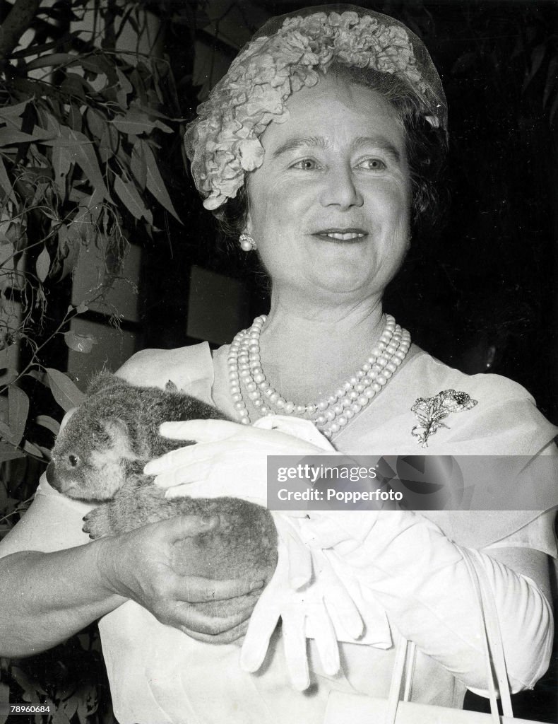Australia. 1958. The Queen Mother nurses a Koala Bear during her inspection of the Queeensland University during her Commonwealth tour of Australia.