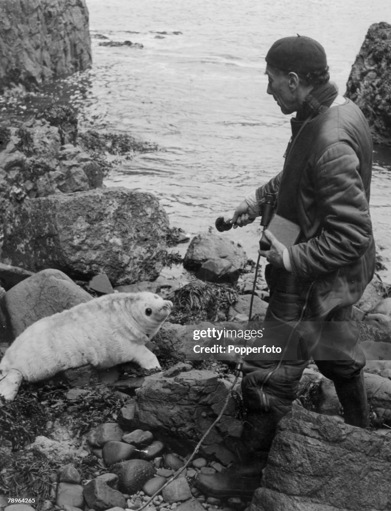 Personalities. Nature. pic: November 1952. German born widlife recordist Ludwig Koch, with his apparatus, on the search for seal "music" as he records a "conversation". Ludwig Koch was famous for his recordings of wild birds and his broadcasts using "soun