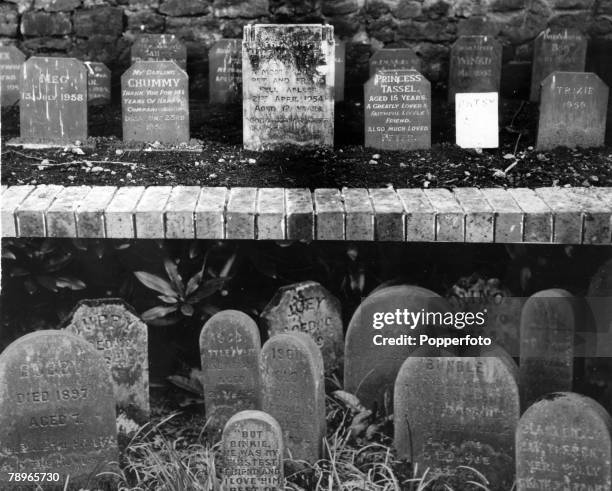 Billing Northamptonshire Photos and Premium High Res Pictures Getty