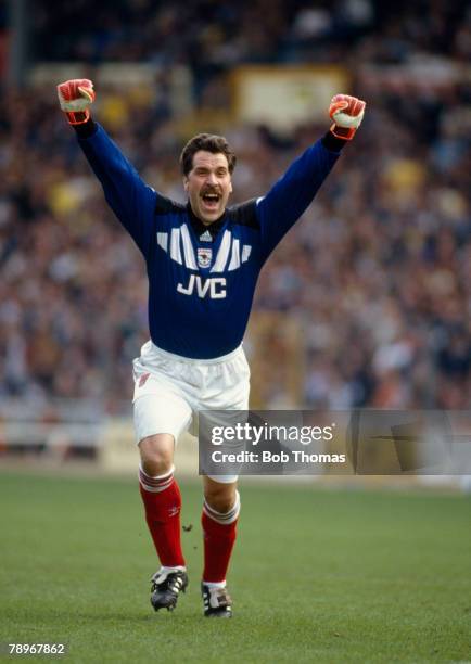 David Seeman Goalkeeper David Seaman Photos and Premium High Res Pictures - Getty Images
