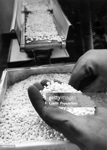 People, Medical, Birth Control, pic: circa 1965, Oral contraceptive pills being manufactured at a factory in High Wycombe, Buckinghamshire, England