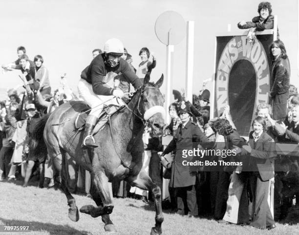 Horse-Racing, 2nd April 1977, Grand National at Aintree, Red Rum wins the National for an historic 3rd time, His previous victories were in 1973 and...