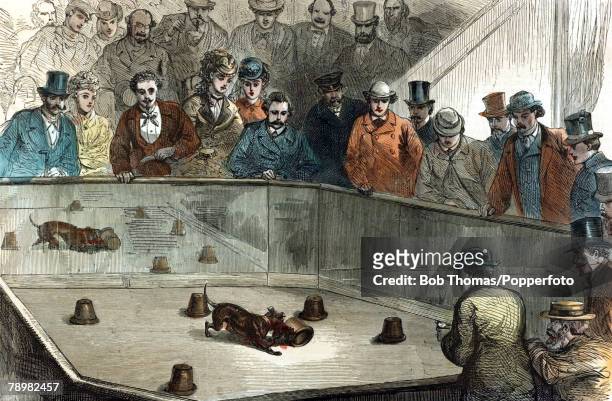 Blood Sports Illustration, pic: circa 1880, This illustration shows ratting at a dog show