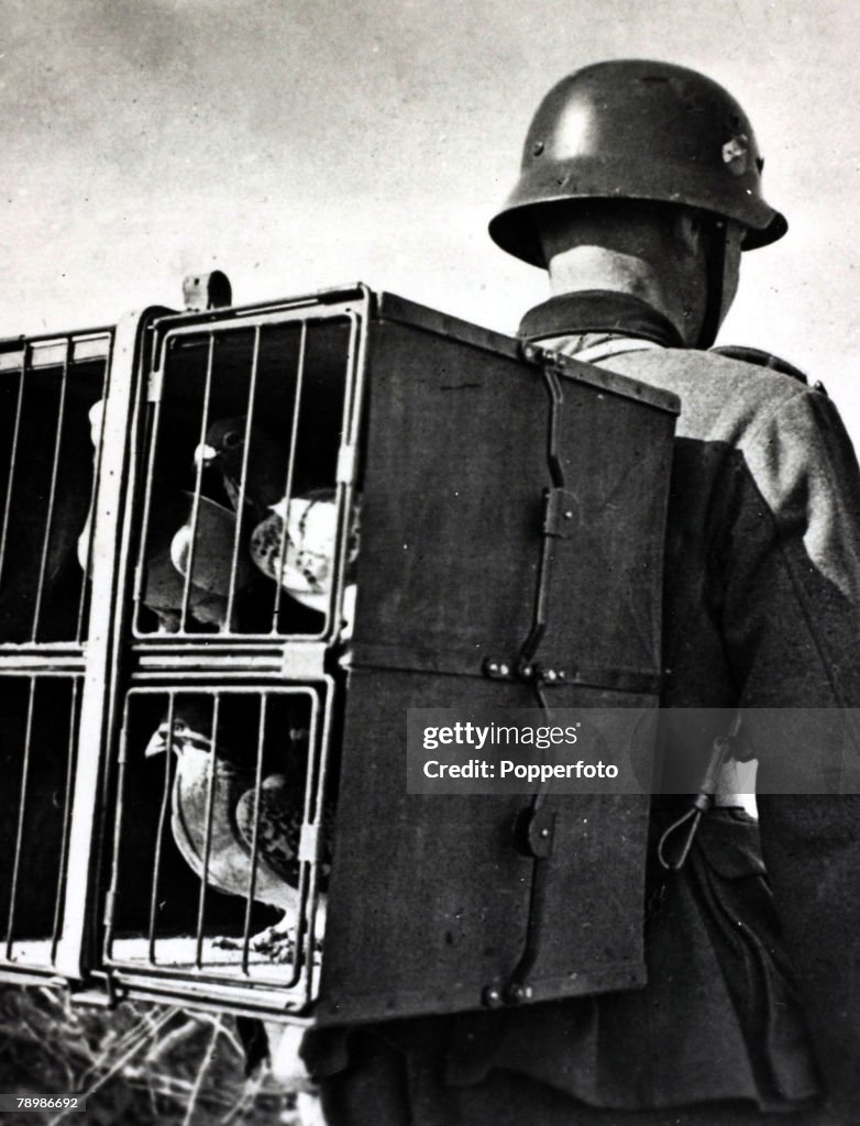 German Wehrmacht Soldier With Carrier Pigeons