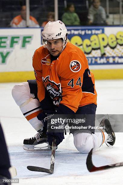 Defenseman Drew Fata of the Bridgeport Sound Tigers during the first period against the Springfield Falcons on January 12, 2008 at the Arena at...