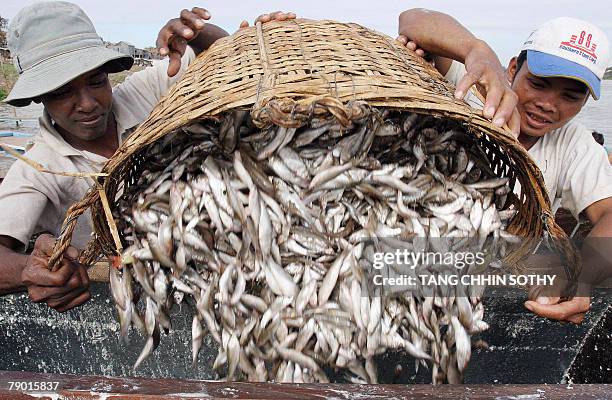 Prahok Factory 193 Prahok Stock Photos, High-Res Pictures, and Images - Getty Images