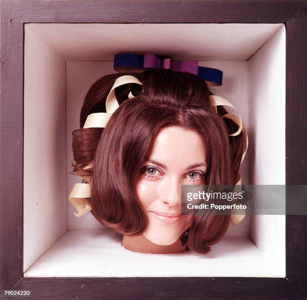 Quirky portrait of a womans head within a box, her hair is fashionably styled with wood shaving type of coloured pieces in her hair whilst she is...