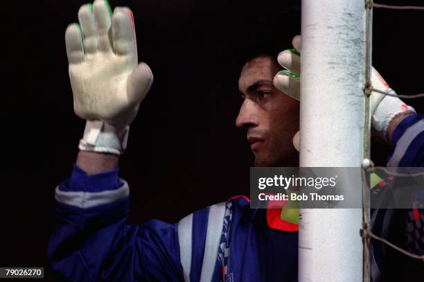 Sport, Football, World Cup Qualifier, 31st March 1993, Switzerland 1 v Portugal 1, Portugal goalkeeper Vitor Baia lines up a defensive wall by his...
