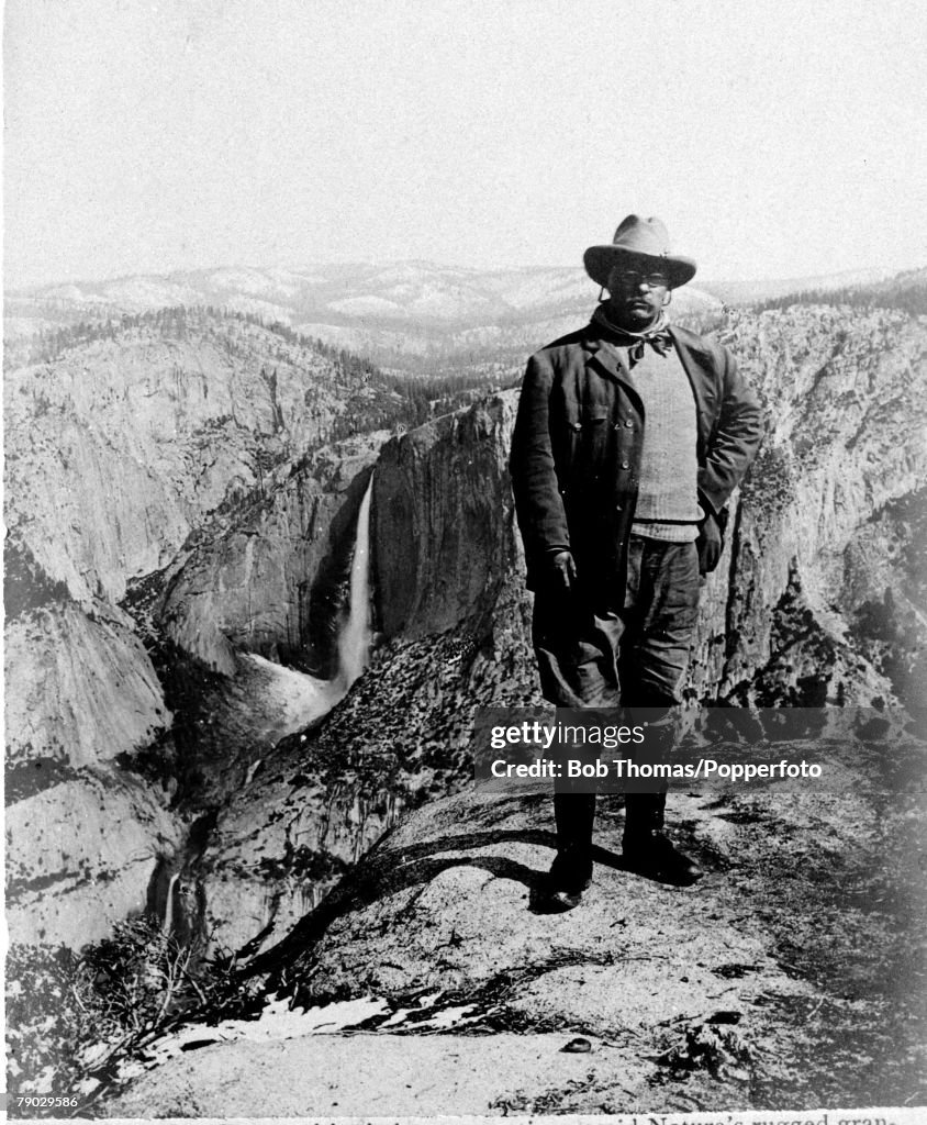 Roosevelt In Yosemite