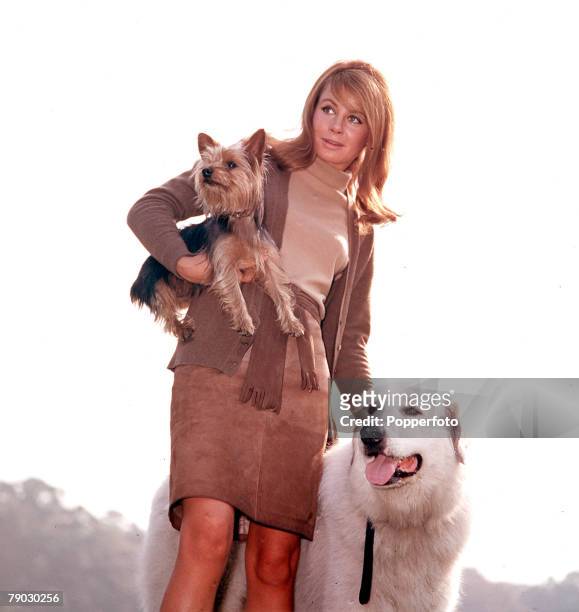 Picture of the British actress Sarah Miles with a couple dogs in 1965