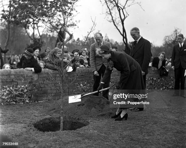 First Lady Tree Princess Tree Photos and Premium High Res Pictures - Getty Images