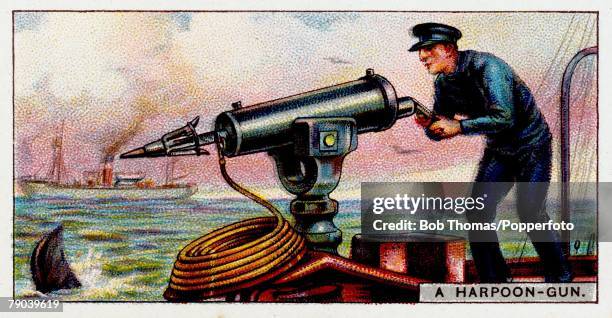 Cigarette Cards, Whaling, 20th century, Seaman using a harpoon gun which has an explosive charge which causes the whale to be stopped immediately