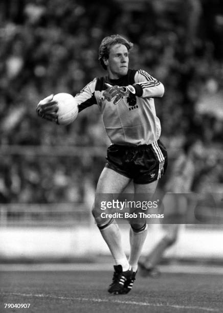 Football, International Friendly, Wembley, 25th May 1982, England 2 v Holland 0, Dutch goalkeeper Hans Van Breukelen