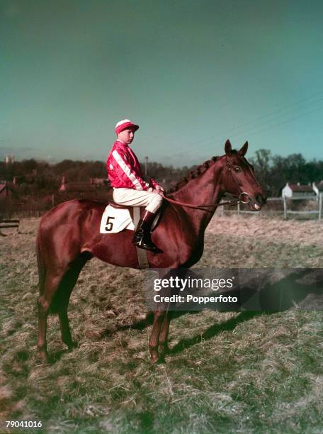 Sport, Horse Racing, pic: 1951, Young British jockey Lester Piggott who rode his first winner on the flat in 1948 at the age of 12, He was champion...