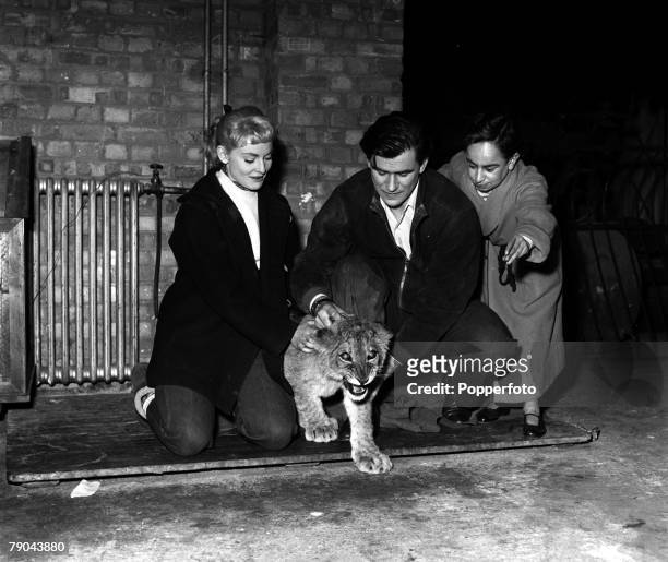 England On the set of the film "The Woman for Joe", showing L-R: Diane Cilento, George Baker and Jimmy Karoubi with a lion cub