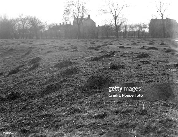 Molehills dotted all over a British farmer's field, circa 1945. Moles are subterranean creatures related to the shrew, despite being small they do...