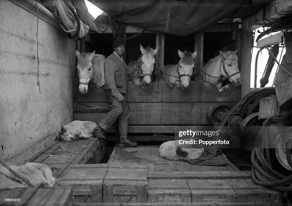 H.G Ponting. Captain Scott+s Antarctic Expedition 1910 - 1912. December, 1910. Captain Oates with some of the ponies in their stables on board the "Terra Nova" ship.