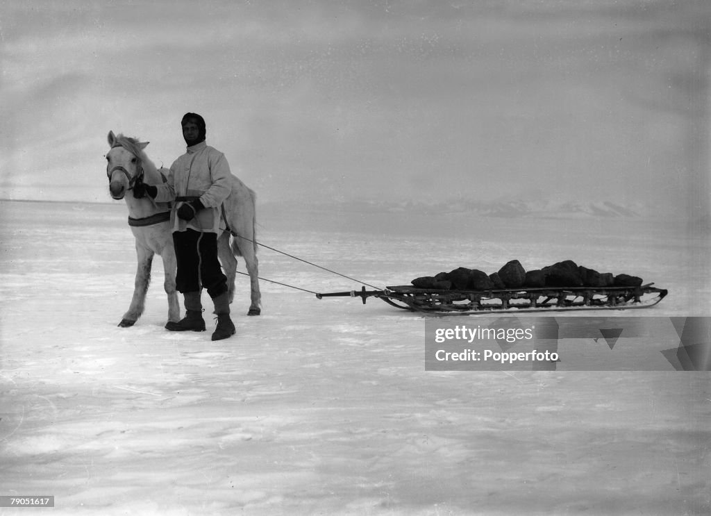 H.G Ponting. Captain Scott+s Antarctic Expedition 1910 - 1912. 14th January, 1911. Mather pictured with a horsepulled sledge, loaded with ballast to the ship.