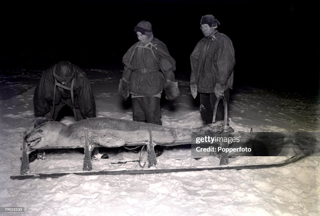 H.G Ponting. Captain Scott+s Antarctic Expedition 1910 - 1912. 28th May, 1911. Expedition team members Dr. Wilson, Cherry-Garrard and Ford with a leopard seal on a sledge.