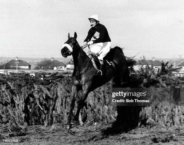 Volume 2, Page 20, Picture 9, 2nd August 1977,Horse Racing Grand National, Aintree, Red Rum wins Grand National for the 3rd time