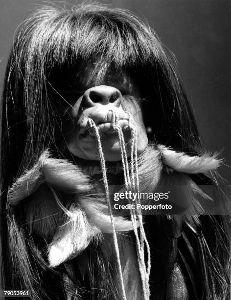 Classic Collection, Page 140 A shrunken head on a stick with string through lips and long black hair, Brazil,South America