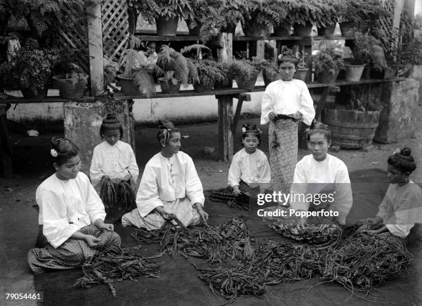 Ponting in Asia 1900 - 1906, Burma, Burmese girls sitting down making cheroots