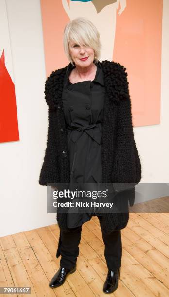 Designer Betty Jackson attends Natasha Law's exhibition of new work at 121 Charing Cross Road on January 16, 2008 in London.