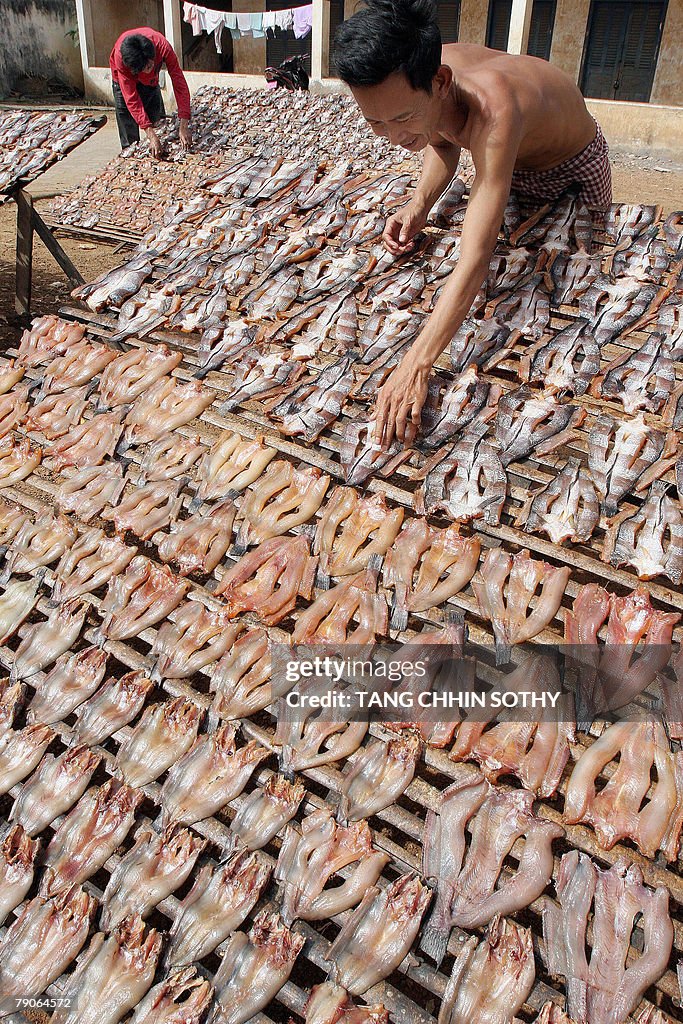 Cambodian men turn dry fish that are dri