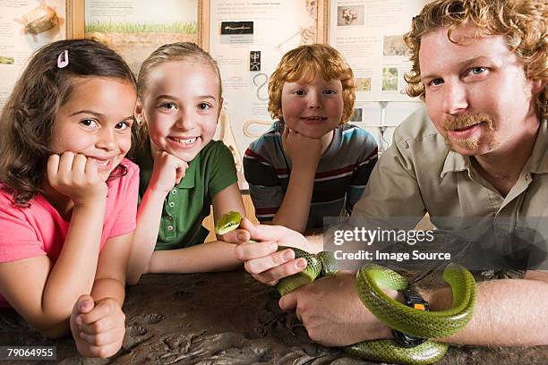 kids and zoo keeper with snake - zoo keeper stock pictures, royalty-free photos & images