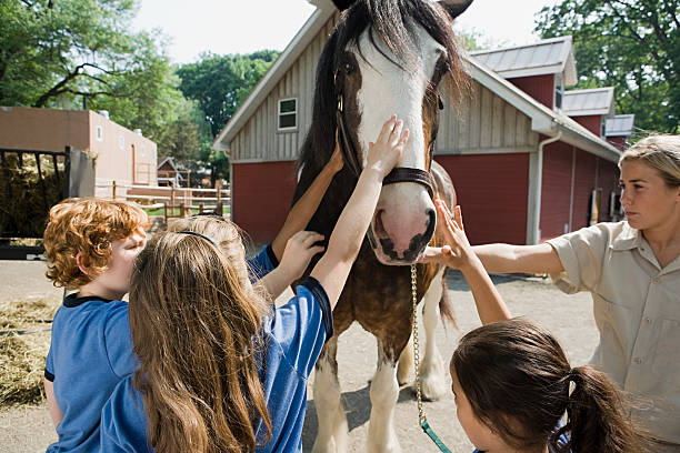 A group of children petting a horse