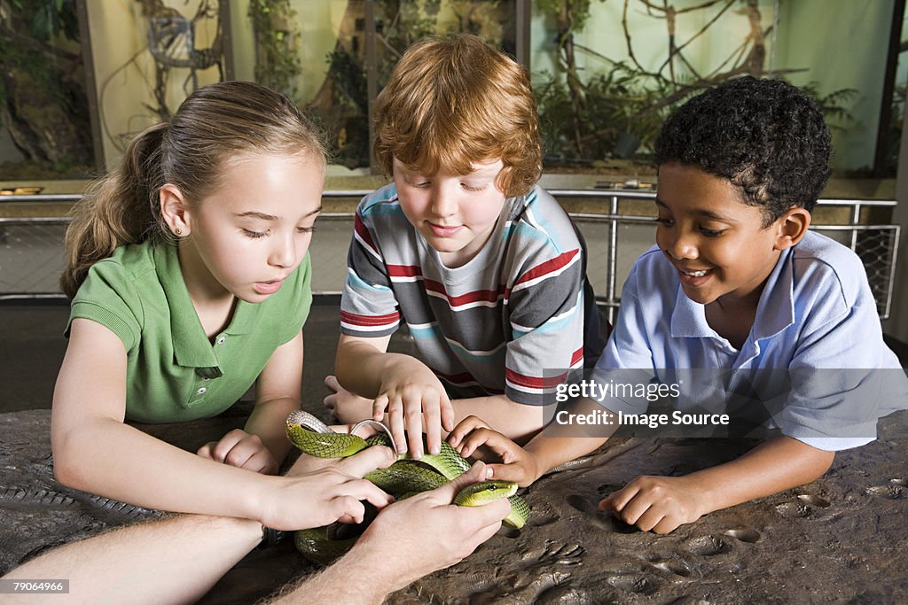 Kids touching snake