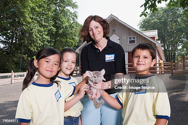 crianças e trabalhador de zoológico com chinchilla - zoo keeper - fotografias e filmes do acervo