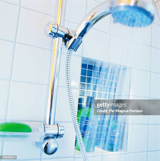 ima25704 - shower shelf stock pictures, royalty-free photos & images