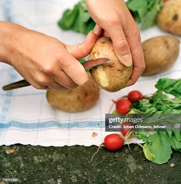 peeling potatoes. - geschält stock-fotos und bilder