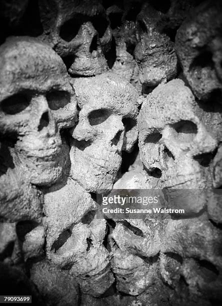 craniums in a cave. - human skeleton ground stock pictures, royalty-free photos & images