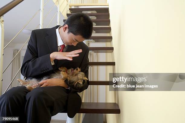 a young man in a suit plays with his dog. - well dressed dog stock pictures, royalty-free photos & images