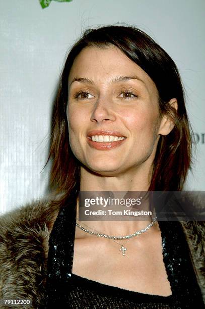 Bridget Moynahan