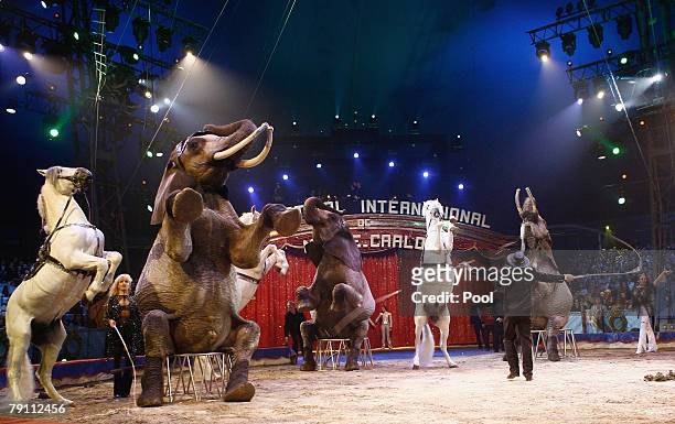 Rene Casselly performs during the second day of the 32nd International Circus Festival of Monte Carlo January 18, 2008 in Monte Carlo, Monaco.