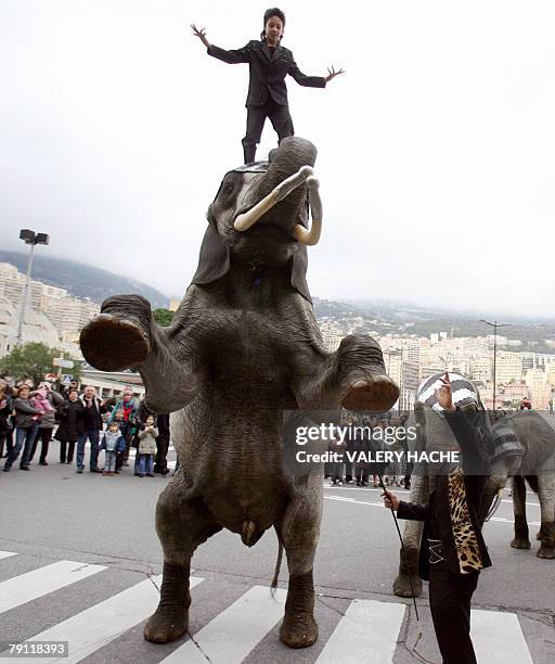 Artists perform a parade featuring elephants as part of the 32nd International Circus Festival of Monaco, 19 January 2008 at Monaco. The circus will...