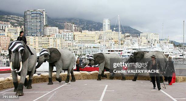 Artists perform a parade featuring elephants as part of the 32nd International Circus Festival of Monaco, 19 January 2008 at Monaco. The circus will...