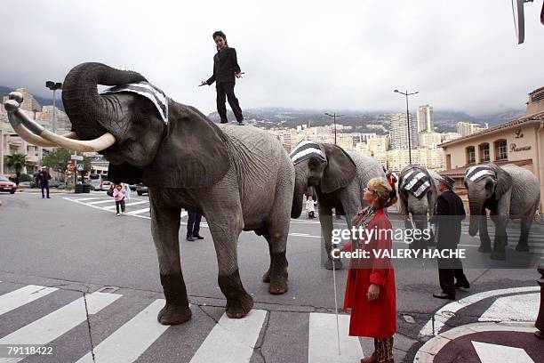 Artists perform a parade featuring elephants as part of the 32nd International Circus Festival of Monaco, 19 January 2008 at Monaco. The circus will...