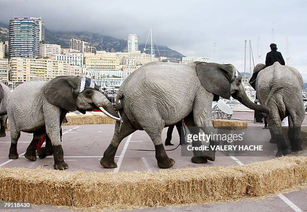 Artists perform a parade featuring elephants as part of the 32nd International Circus Festival of Monaco, 19 January 2008 at Monaco. The circus will...