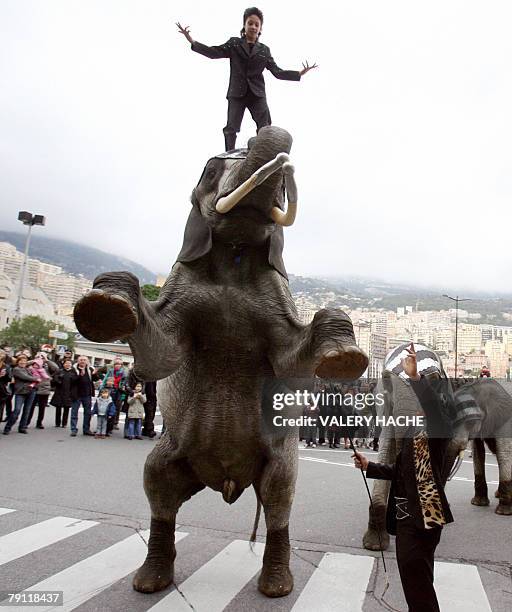 Artists perform a parade featuring elephants as part of the 32nd International Circus Festival of Monaco, 19 January 2008 at Monaco. The circus will...