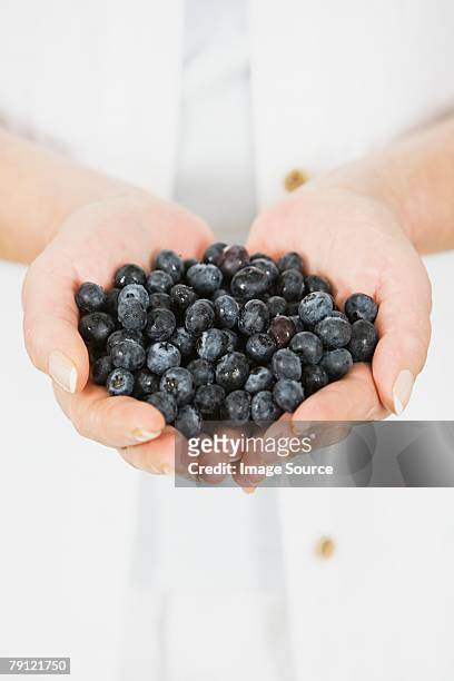 hände mit blaubeeren - berries and hand stock-fotos und bilder