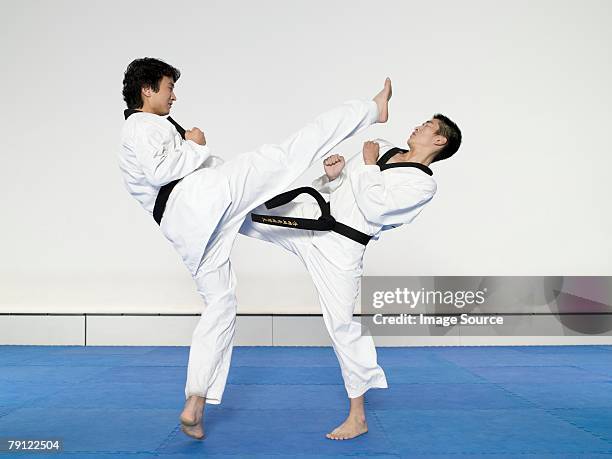 taekwondo - taekwando stockfoto's en -beelden